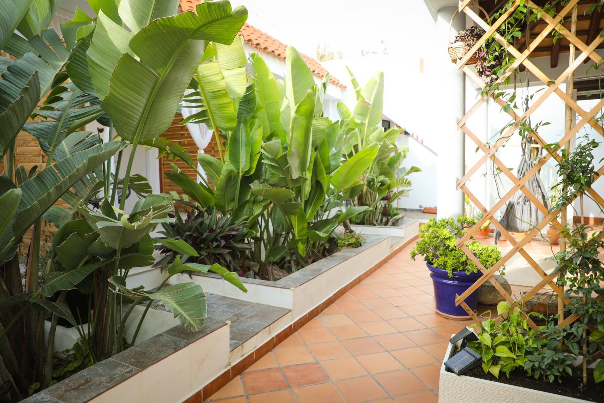 Calas De Meca Guest house